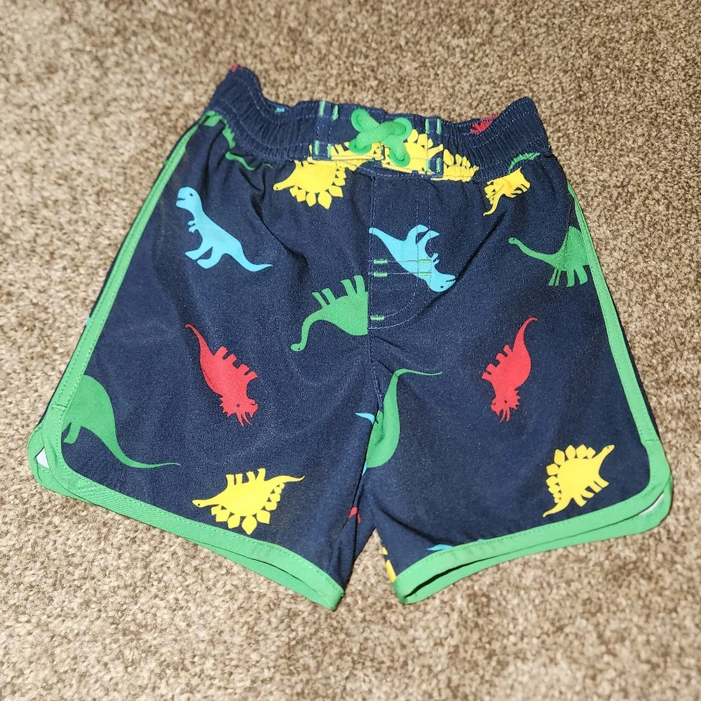 Wonder Nation 6-9 Months Dinosaur Print Swim Trunks - Picture 2 of 8